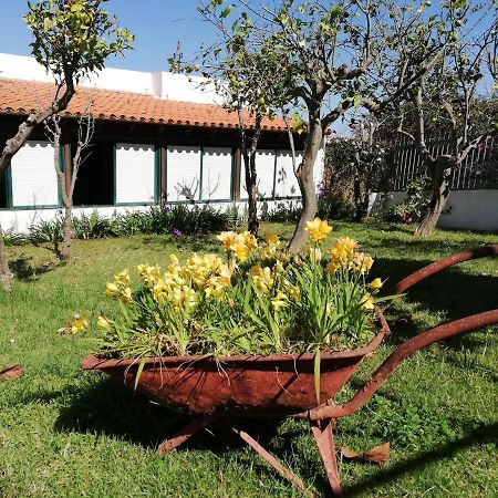 Casa Rural Limon Y Sol Sauzal Ngoại thất bức ảnh