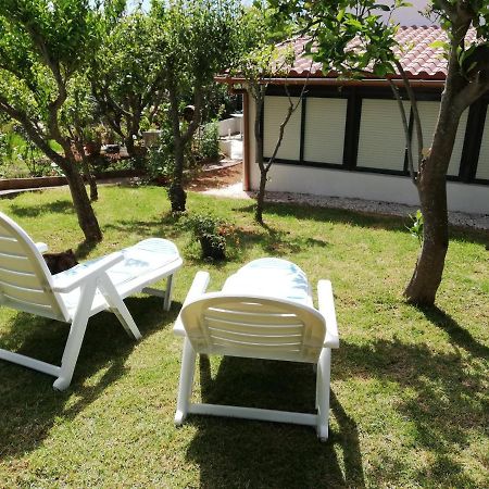 Casa Rural Limon Y Sol Sauzal Ngoại thất bức ảnh
