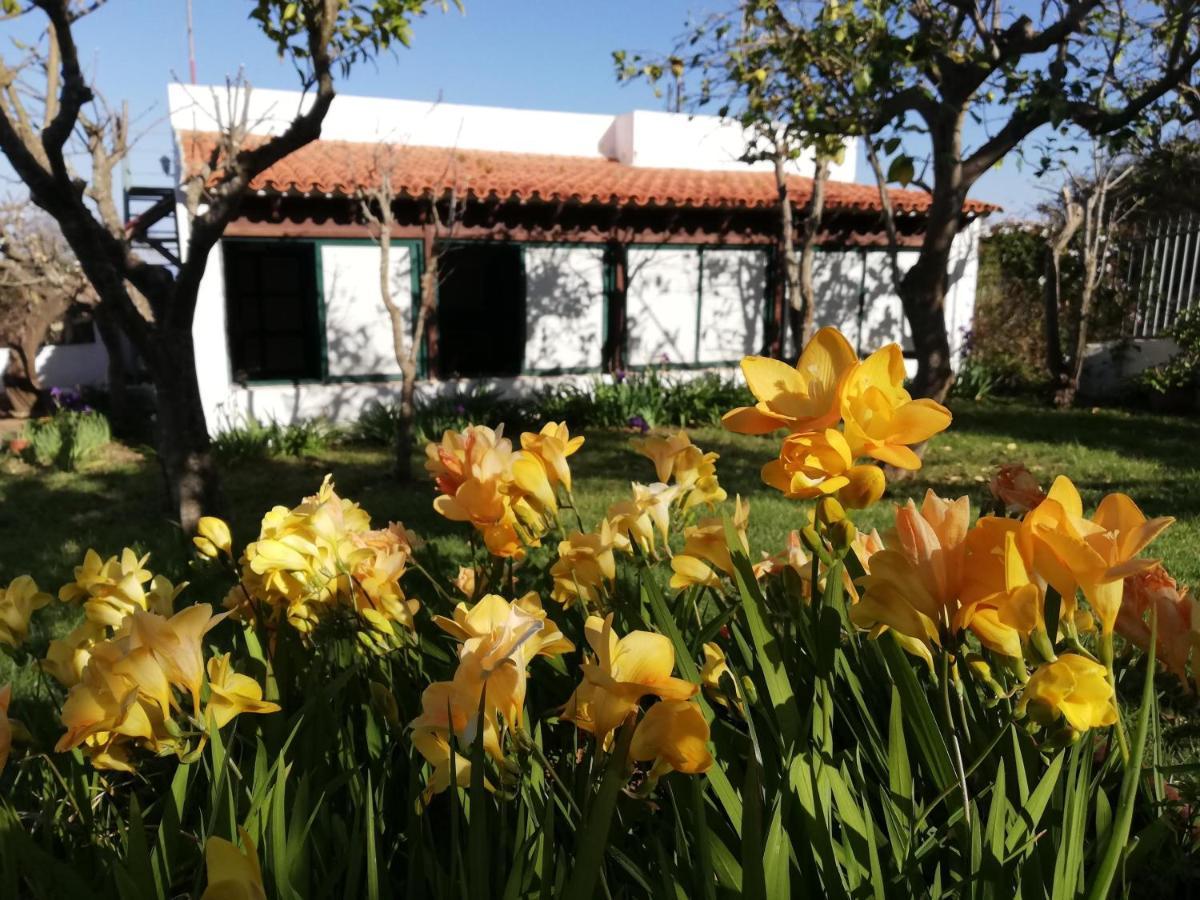 Casa Rural Limon Y Sol Sauzal Ngoại thất bức ảnh