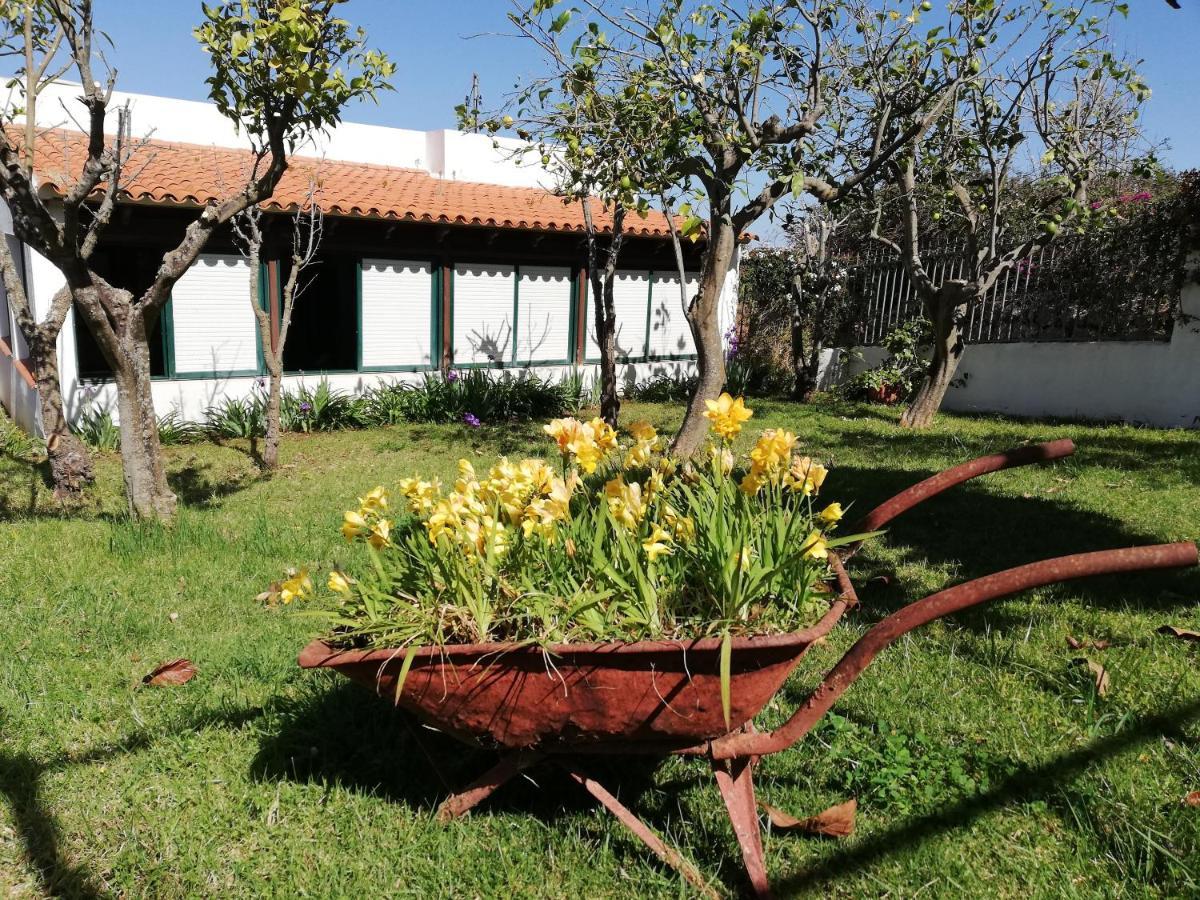 Casa Rural Limon Y Sol Sauzal Ngoại thất bức ảnh