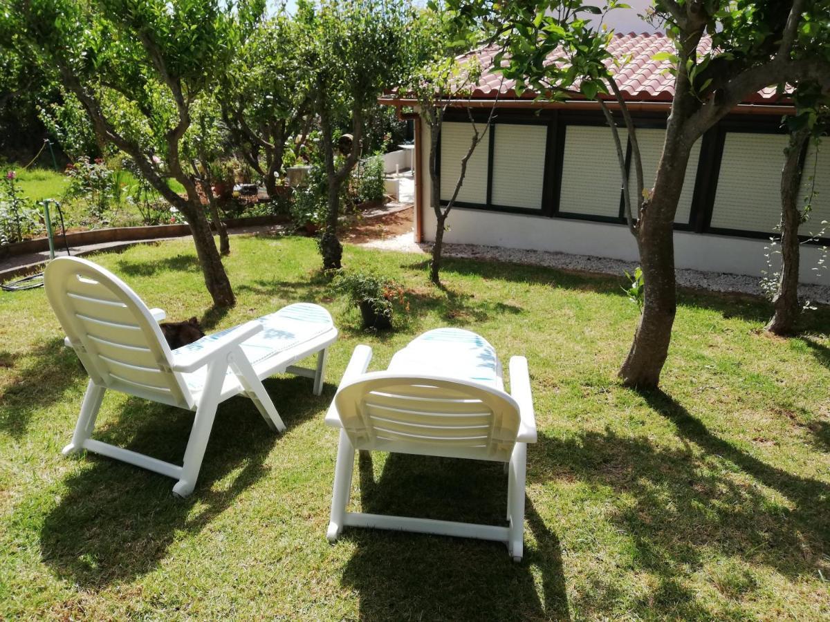 Casa Rural Limon Y Sol Sauzal Ngoại thất bức ảnh