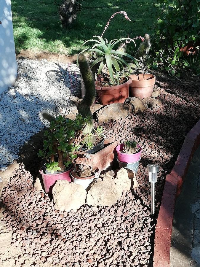 Casa Rural Limon Y Sol Sauzal Ngoại thất bức ảnh