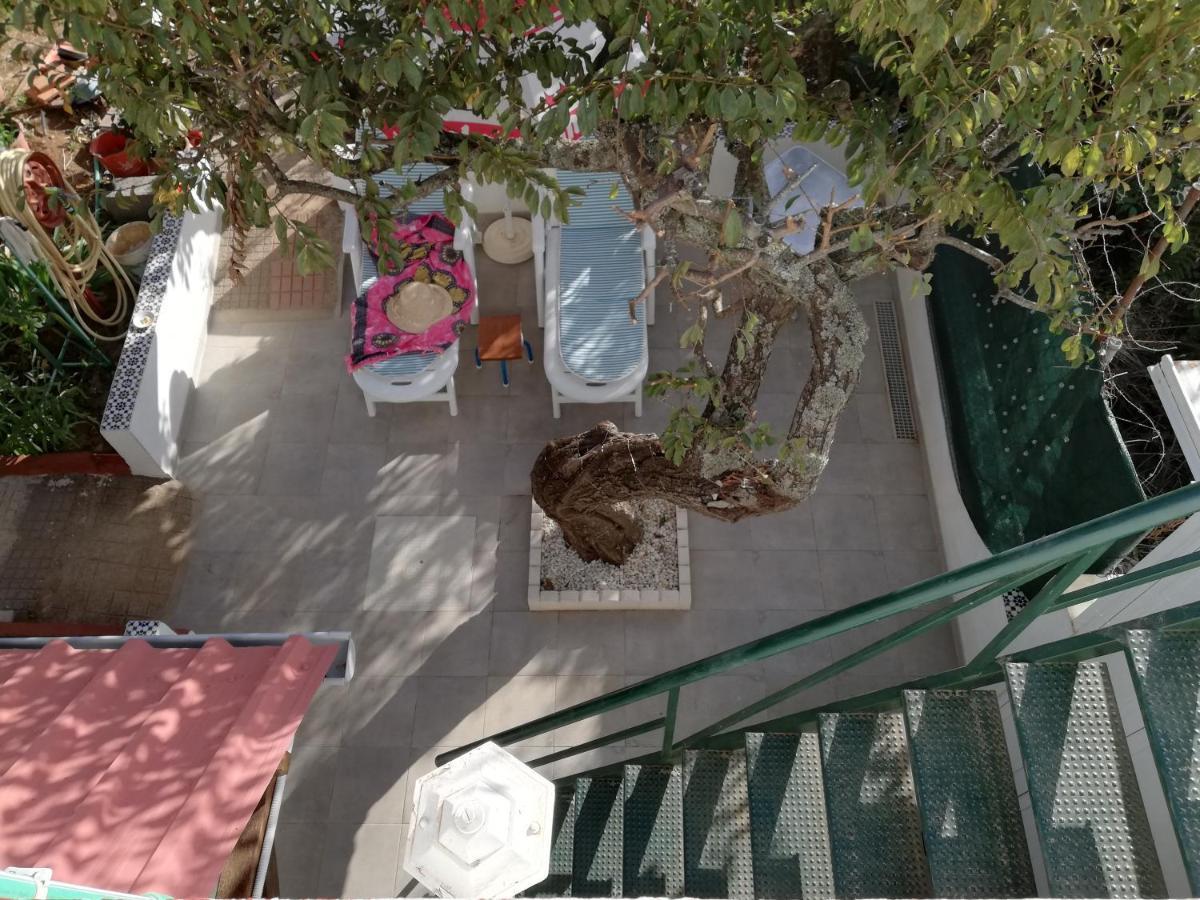 Casa Rural Limon Y Sol Sauzal Ngoại thất bức ảnh