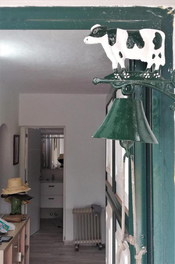 Casa Rural Limon Y Sol Sauzal Ngoại thất bức ảnh