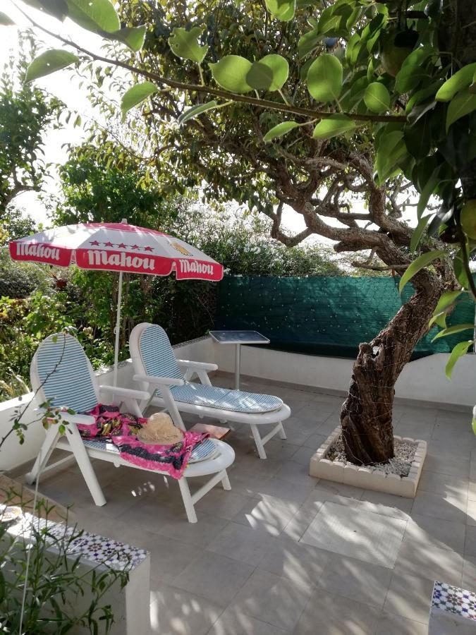 Casa Rural Limon Y Sol Sauzal Ngoại thất bức ảnh