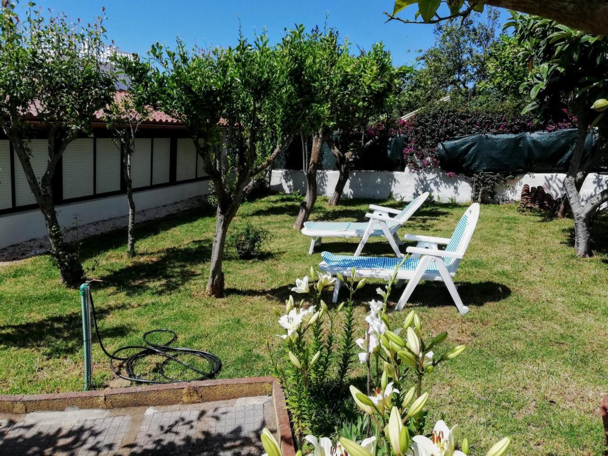 Casa Rural Limon Y Sol Sauzal Ngoại thất bức ảnh