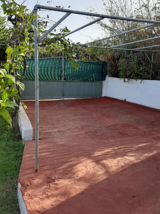 Casa Rural Limon Y Sol Sauzal Ngoại thất bức ảnh