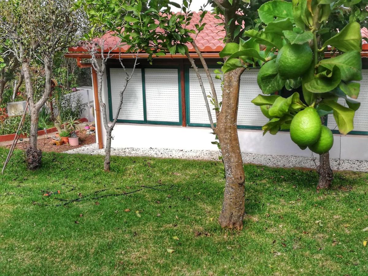 Casa Rural Limon Y Sol Sauzal Ngoại thất bức ảnh